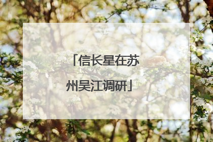 信长星在苏州吴江调研