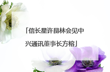 信长星许昆林会见中兴通讯董事长方榕