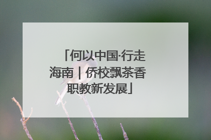 何以中国·行走海南｜侨校飘茶香 职教新发展