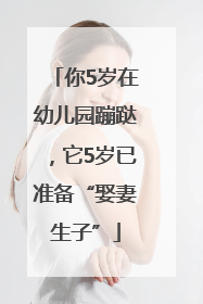 你5岁在幼儿园蹦跶，它5岁已准备“娶妻生子”