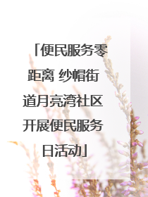 便民服务零距离 纱帽街道月亮湾社区开展便民服务日活动