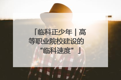 临科正少年｜高等职业院校建设的“临科速度”