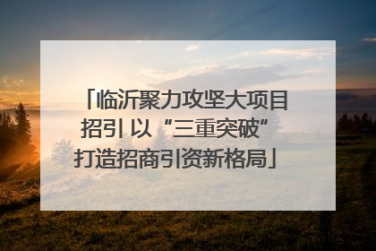 临沂聚力攻坚大项目招引 以“三重突破”打造招商引资新格局