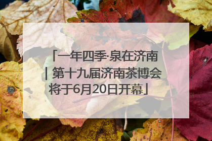 一年四季·泉在济南｜第十九届济南茶博会将于6月20日开幕