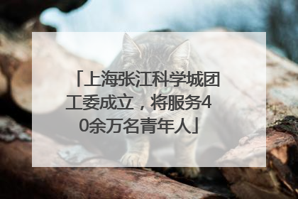 上海张江科学城团工委成立，将服务40余万名青年人
