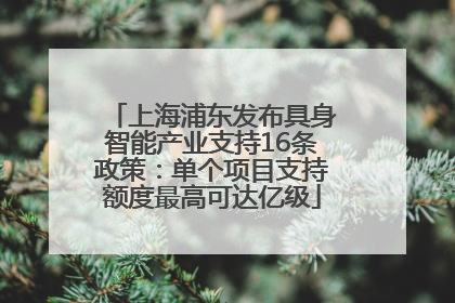上海浦东发布具身智能产业支持16条政策：单个项目支持额度最高可达亿级