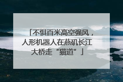 不惧百米高空强风，人形机器人在燕矶长江大桥走“猫道”