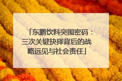 东鹏饮料突围密码：三次关键抉择背后的战略远见与社会责任
