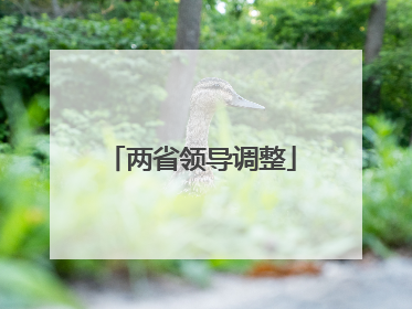 两省领导调整