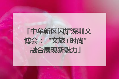 中牟新区闪耀深圳文博会：“文旅+时尚”融合展现新魅力