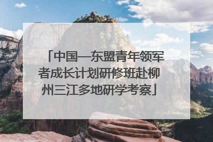 中国—东盟青年领军者成长计划研修班赴柳州三江多地研学考察