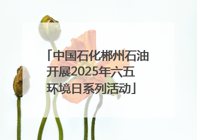 中国石化郴州石油开展2025年六五环境日系列活动