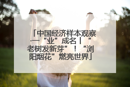 中国经济样本观察·一“业”成名丨“老树发新芽”！“浏阳烟花”燃亮世界