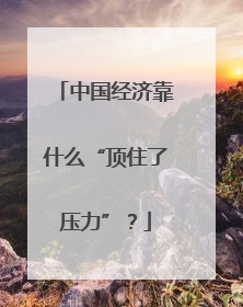 中国经济靠什么“顶住了压力”？