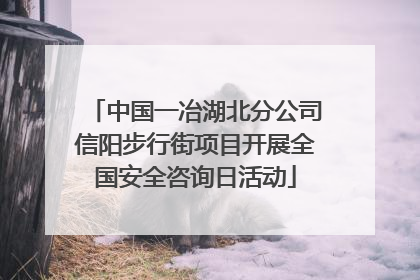 中国一冶湖北分公司信阳步行街项目开展全国安全咨询日活动