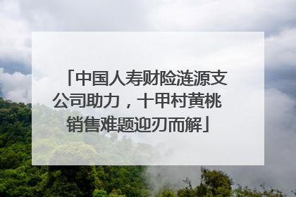 中国人寿财险涟源支公司助力，十甲村黄桃销售难题迎刃而解