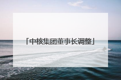 中核集团董事长调整