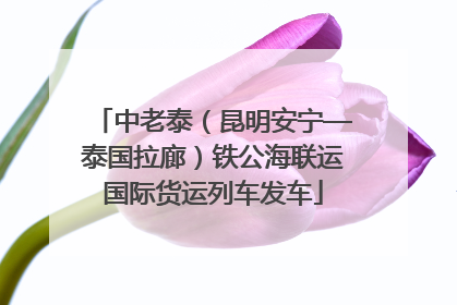 中老泰（昆明安宁—泰国拉廊）铁公海联运国际货运列车发车