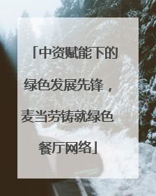 中资赋能下的绿色发展先锋，麦当劳铸就绿色餐厅网络