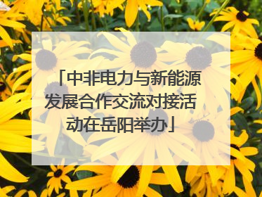 中非电力与新能源发展合作交流对接活动在岳阳举办
