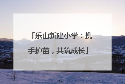 乐山新建小学：携手护苗，共筑成长