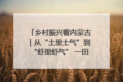 乡村振兴看内蒙古｜从“土里土气”到“虾里虾气” 一田双收模式火出圈