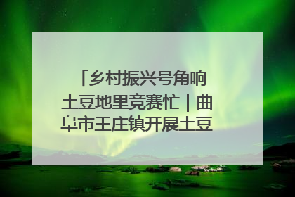 乡村振兴号角响 土豆地里竞赛忙｜曲阜市王庄镇开展土豆收获劳动竞赛