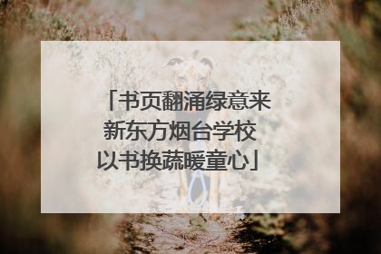 书页翻涌绿意来 新东方烟台学校以书换蔬暖童心
