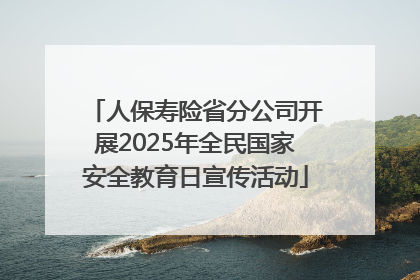 人保寿险省分公司开展2025年全民国家安全教育日宣传活动
