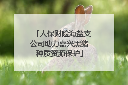 人保财险海盐支公司助力嘉兴黑猪种质资源保护