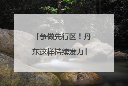 争做先行区！丹东这样持续发力