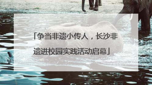 争当非遗小传人，长沙非遗进校园实践活动启幕