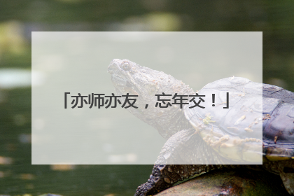 亦师亦友，忘年交！