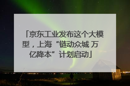 京东工业发布这个大模型，上海“链动众城 万亿降本”计划启动