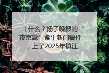 什么？扬子晚报的“夜京畿”紫牛新闻稿件，上了2025年镇江中考模拟卷！