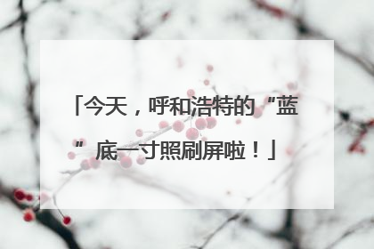 今天，呼和浩特的“蓝”底一寸照刷屏啦！