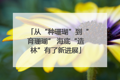 从“种珊瑚”到“育珊瑚” 海底“造林”有了新进展
