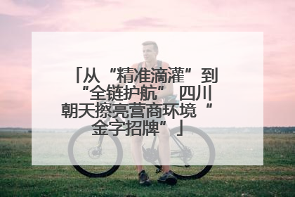 从“精准滴灌”到“全链护航” 四川朝天擦亮营商环境“金字招牌”