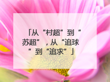 从“村超”到“苏超”，从“追球”到“追求”