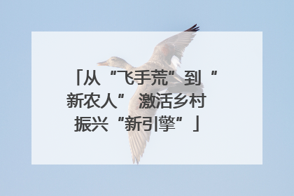 从“飞手荒”到“新农人” 激活乡村振兴“新引擎”
