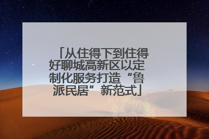 从住得下到住得好聊城高新区以定制化服务打造“鲁派民居”新范式
