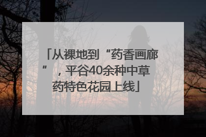 从裸地到“药香画廊”，平谷40余种中草药特色花园上线