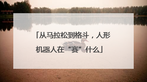 从马拉松到格斗，人形机器人在“赛”什么