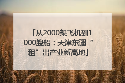 从2000架飞机到1000艘船：天津东疆“租”出产业新高地