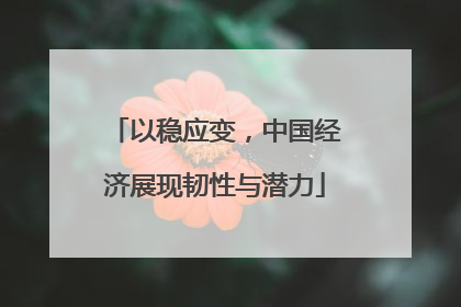 以稳应变，中国经济展现韧性与潜力