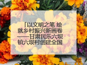 以文明之笔 绘就乡村振兴新画卷——甘肃民乐六坝镇六坝村创建全国文明村侧记