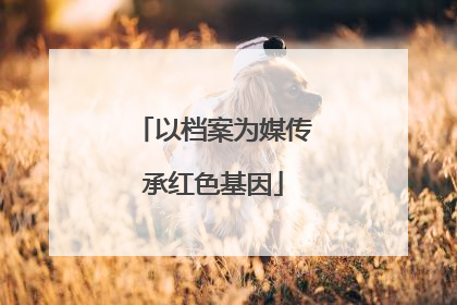 以档案为媒传承红色基因