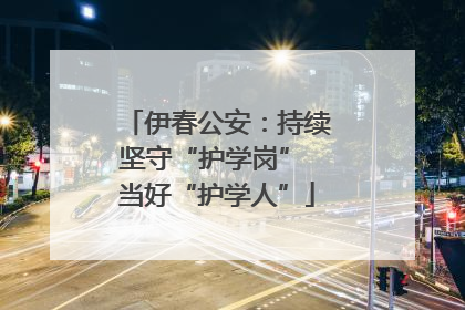 伊春公安：持续坚守“护学岗” 当好“护学人”