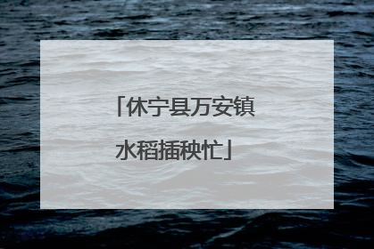 休宁县万安镇水稻插秧忙