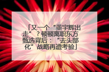 又一个“董宇辉出走”？顿顿离职东方甄选背后：“去头部化”战略再遭考验